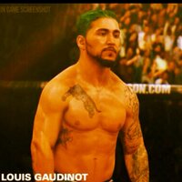 Louis Gaudinot (@lougaudinotufc) 's Twitter Profile