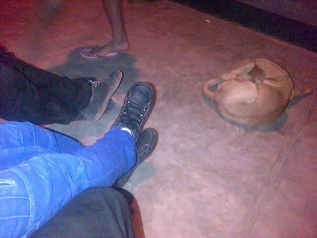 rouz_42950's profile picture. 