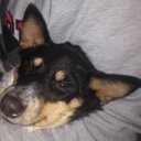 AJ Sosa - @ajsep77 - Twitter