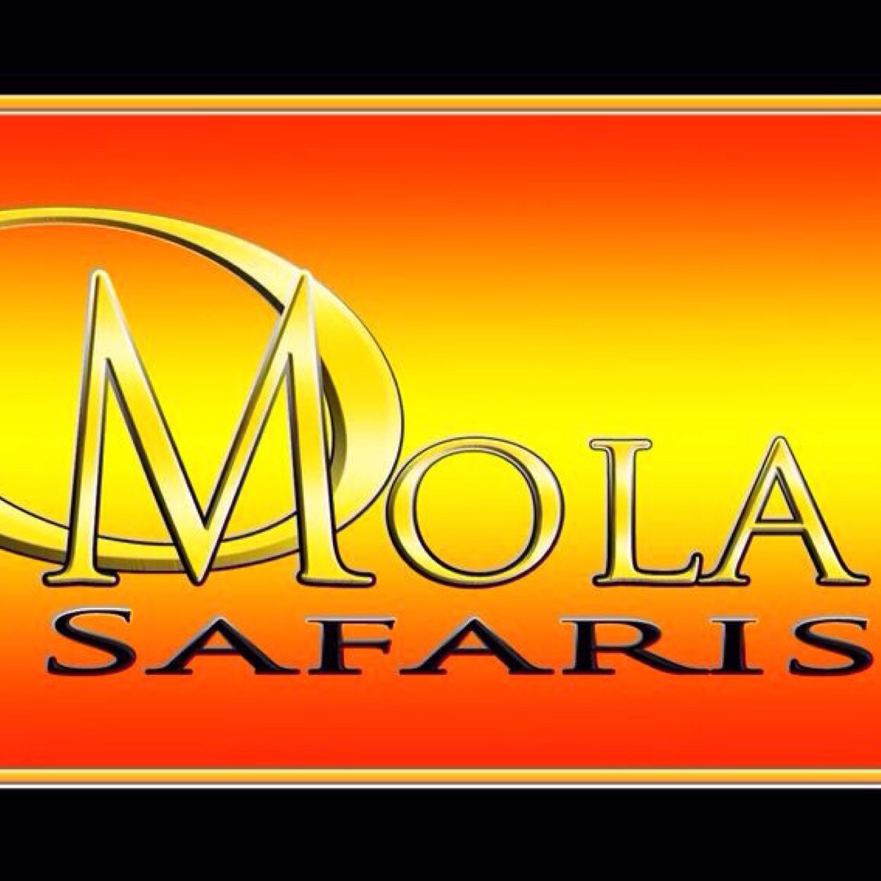 MolaSafaris's profile picture. executive safari