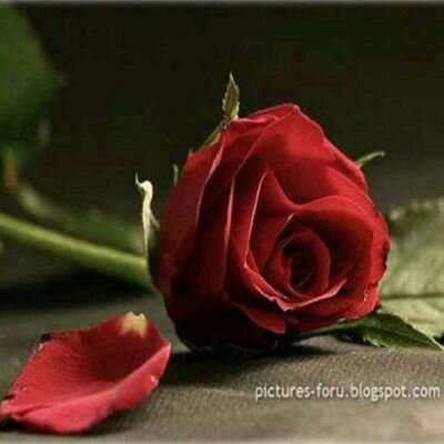 Hello