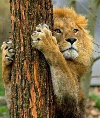 fs220092002's profile picture. 