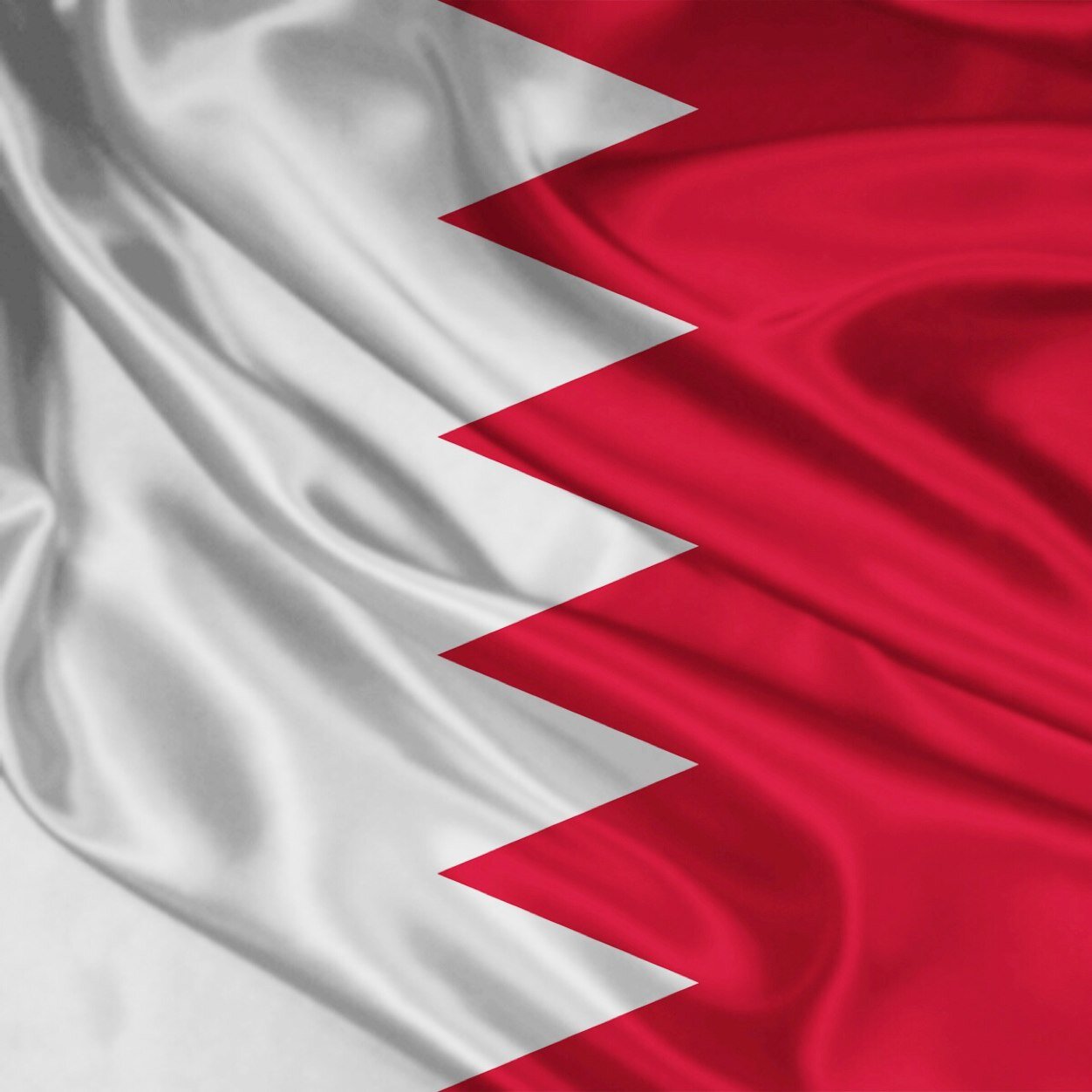 FBuAli8's profile picture. 