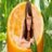 beisloplinktran's profile image