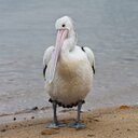 Brandon Keene - @KeeneBrandon - Twitter