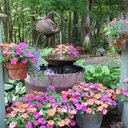 Pam Ennis - @moondancer2014 - Twitter