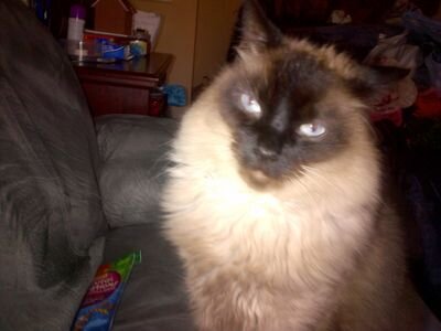 macsince97's profile picture. 