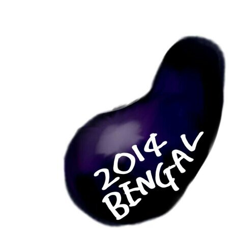 ベンガル語劇14 Bengali13 Twitter ベンガル語劇14 Bengali13 Twitter
