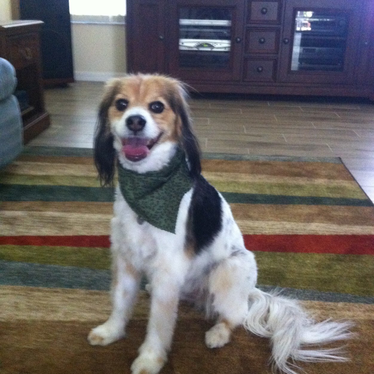 JenniMcNally's profile picture. 