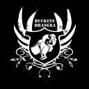 BuckeyeBhangra's profile picture. OSU's Premiere Bhangra Team