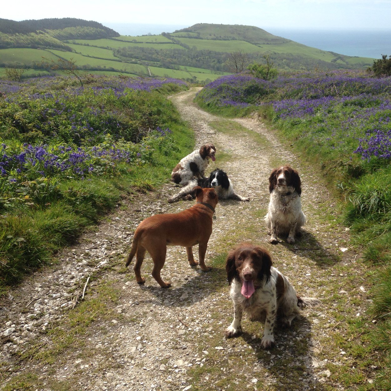 kathtowns4's profile picture. Wife, Mum, friend and Aunty to lots of dogs who have their holidays with us.