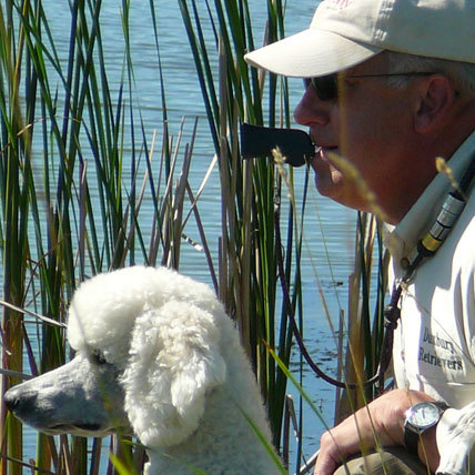 jack_combs's profile picture. 