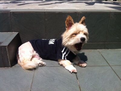 beanbeanchan's profile picture. 