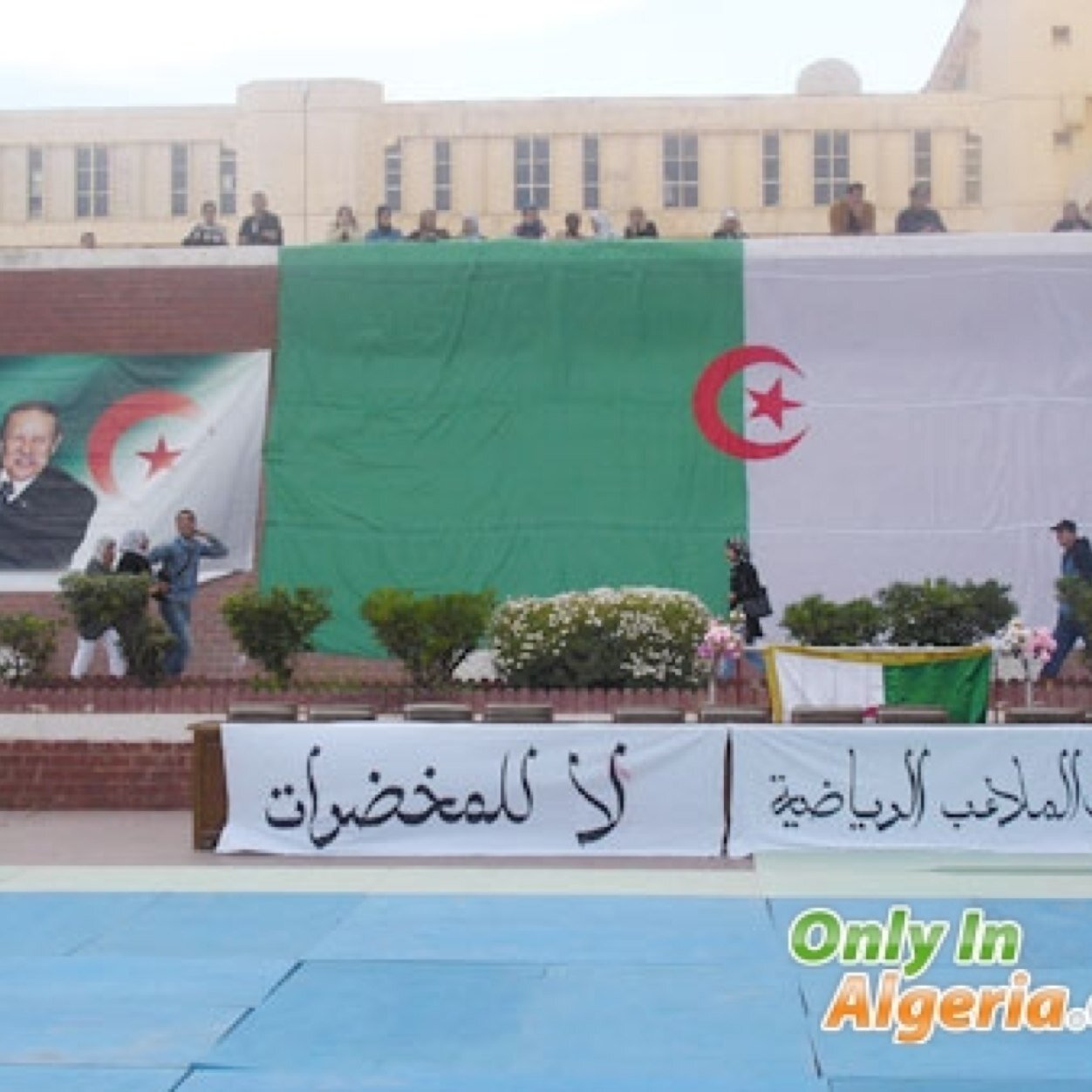 amoruae's profile picture. 