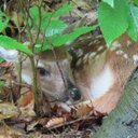 gavin sharp - @Gavin2025Gavin - Twitter