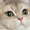 Drew Weiss - @DrewWeiss5 - Twitter