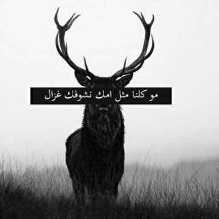 ماجاي على بآلي أكتب إشي O.o