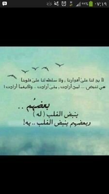 لن آبحث عن آلرآحلين : سَ اطمِس خطواتُهم حتى لا يجرفني آلحنين لهُم !