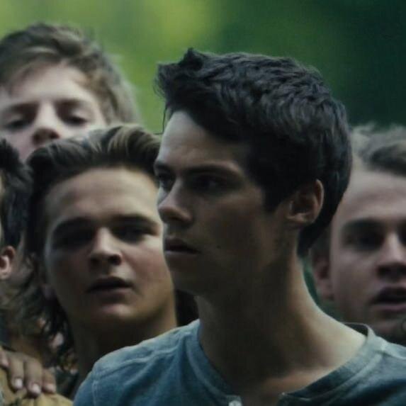 Free from @gaydiddygaygay cuz MAZE RUNNER SUNDAY