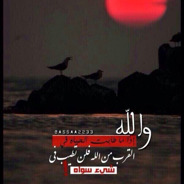 0500763312Hot's profile picture. 