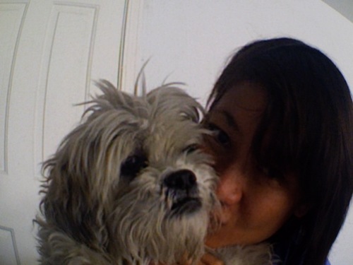 jackisnyc's profile picture. will bark for food