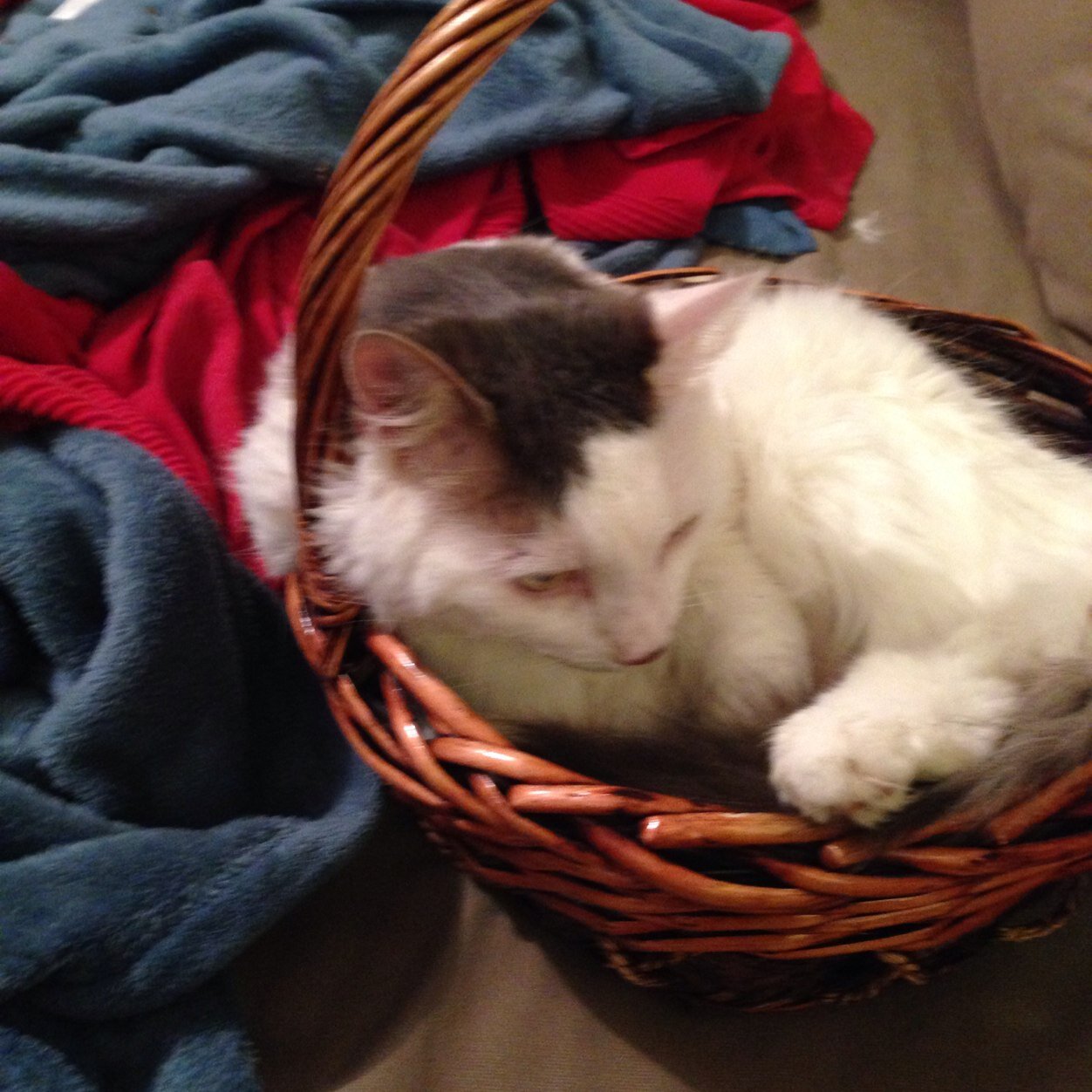 grenier_martine's profile picture. 