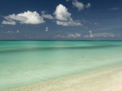 cristi91471's profile picture. 