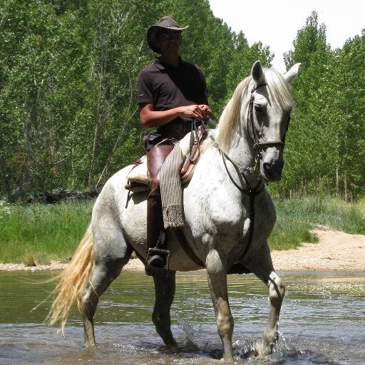 Clases de equitación, pupilaje, doma vaquera, doma clásica, alta escuela, gran picadero cubierto, monitores titulados, bar restaurante,arco. 696-613-777 Ángel