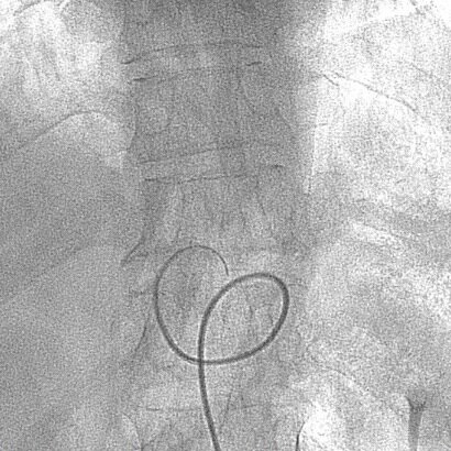 rkutlumd's profile picture. 