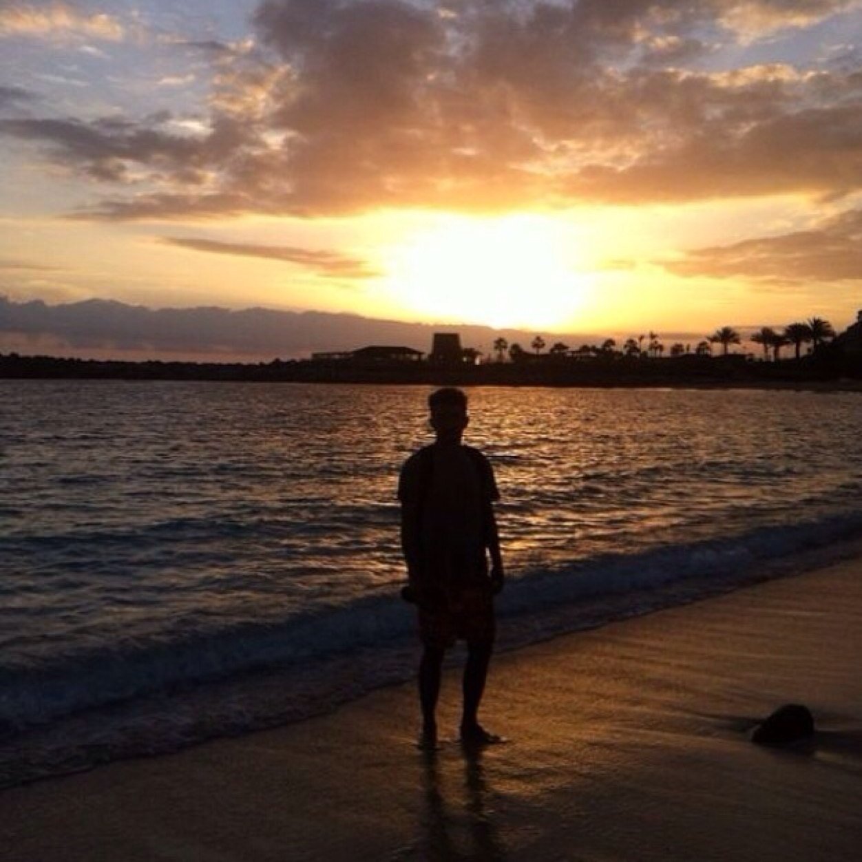 EMCEllisClarke's profile picture. 