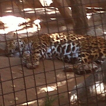 Mental556633's profile picture. myvegas