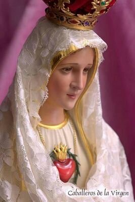 maynviro's profile picture. 