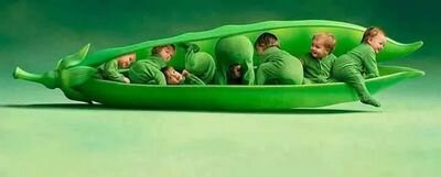 nasser_marie's profile picture. سبحان الله وبحمده سبحان الله العظيم