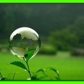 Actus #bio #commerce et #consoResponsable #RSE #BSR (Brand Social Responsability) #perturbateursendocriniens