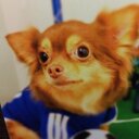 kazulove mom (@02834) Twitter