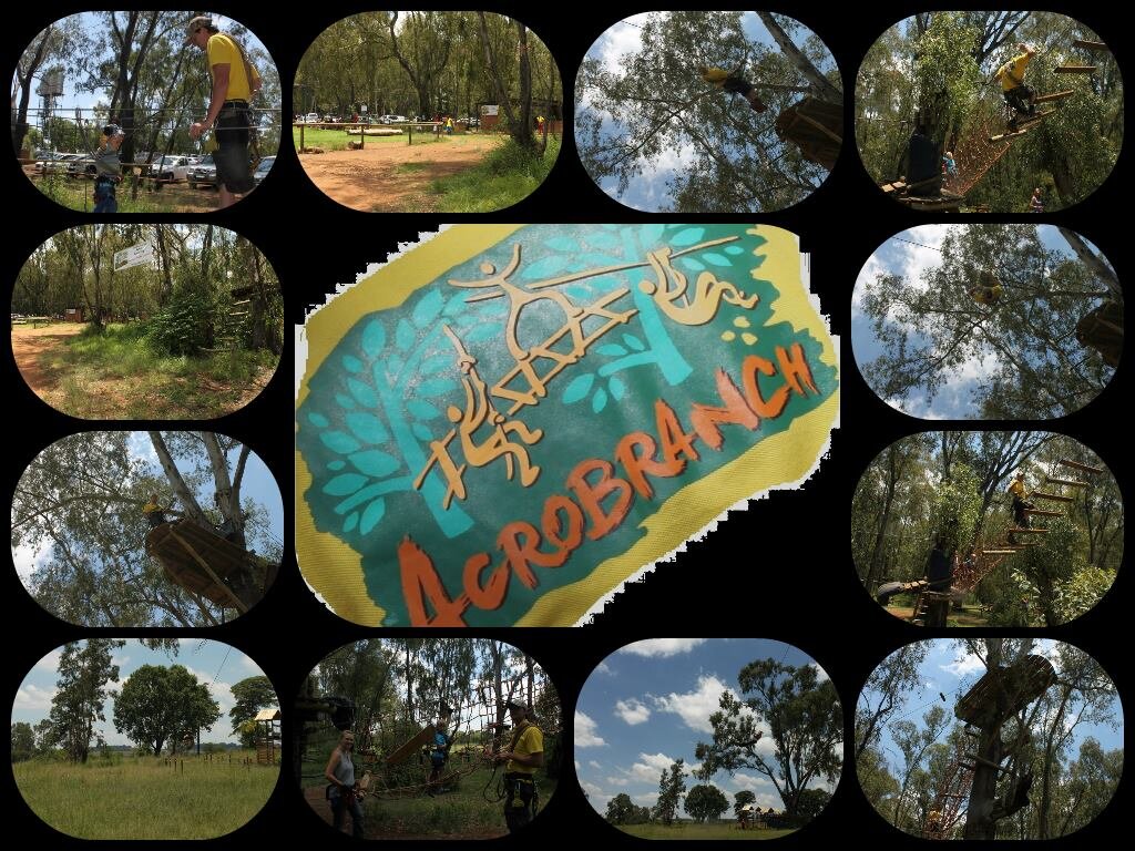 An Amazing Outdoor Activity of Obstacle Courses In the Bluegum trees in Olifantsfontein. Testing your balance and Strength, fun for the whole Family