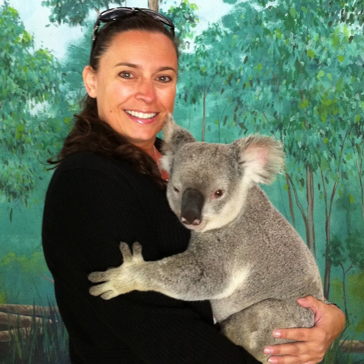 This acc is for trends only. Pls also follow my personal acc @Beverleys1972 - The koala is real (2011) - Reverence, Gratitude, Compassion