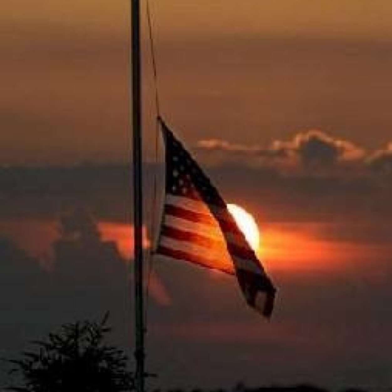 susieqmbs's profile picture. 