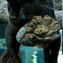 Jesus Fontes - @jesusarmando116 - Twitter