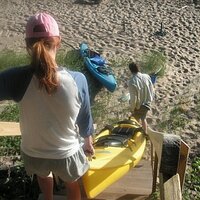 Hannah Reimer (@hhreimerz) 's Twitter Profile