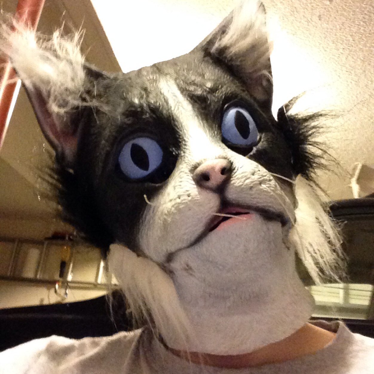 _SwagDaddyRyan_'s profile picture. I play video games and go outside on a rare occasion