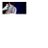 Uiiivqx's profile image