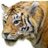 fvhs_ptsa's profile image