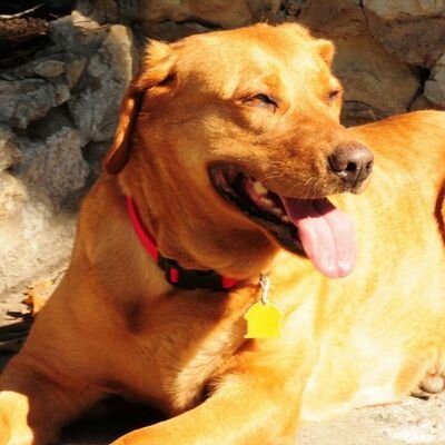 MuirheadPatrick's profile picture. 