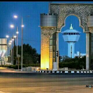 القنفذه