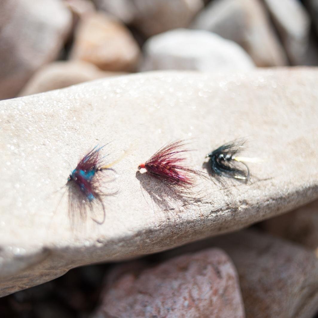 Sharing the wonders of fishing in the unspoilt wilderness of Lochaber
