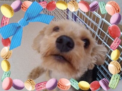 mkpwt5's profile picture. 