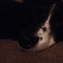Lilly Bird LLC - @LillybirdLLC - Twitter