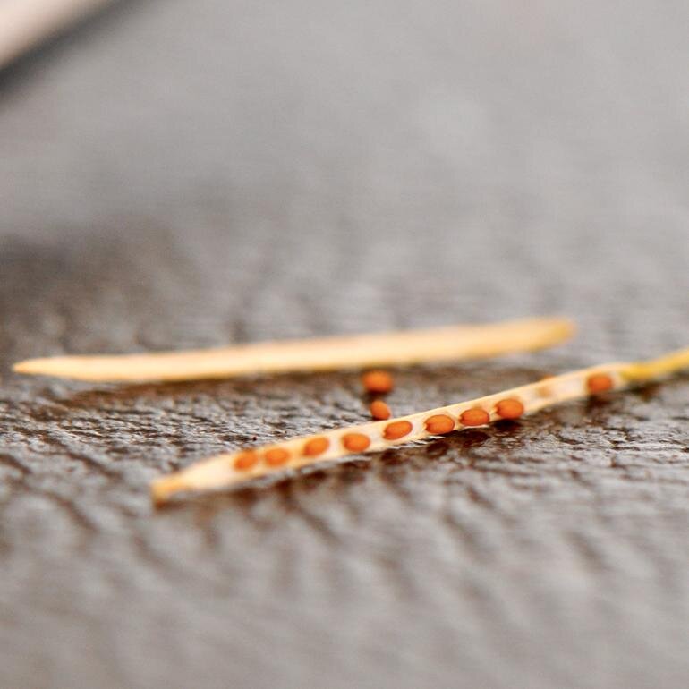 TheunPakProject's profile picture. UNPAK is a collaboration between researchers and students at the College of Charleston, Barnard College, Hampden-Sydney College, and the University of Georgia.