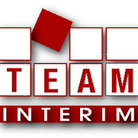 Team Interim (@teaminterim) 's Twitter Profile